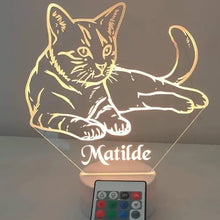 Carica l'immagine nel visualizzatore di Gallery, Gatto - Ilmioplexiglass