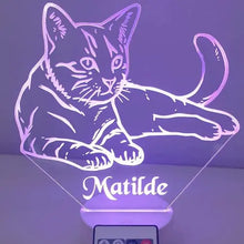 Carica l'immagine nel visualizzatore di Gallery, Gatto - Ilmioplexiglass
